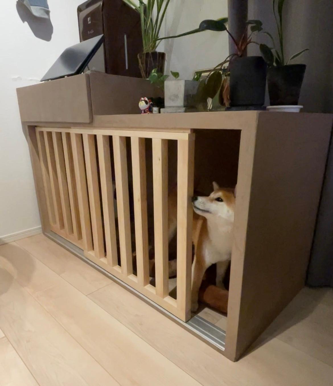 ドックハウス１ | 2枚目