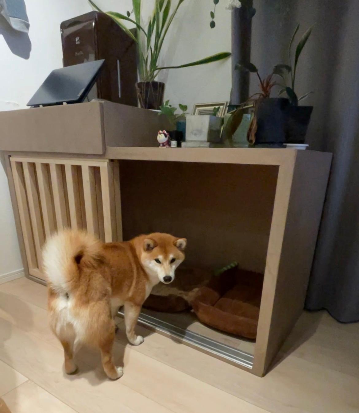 ドックハウス１ | 3枚目