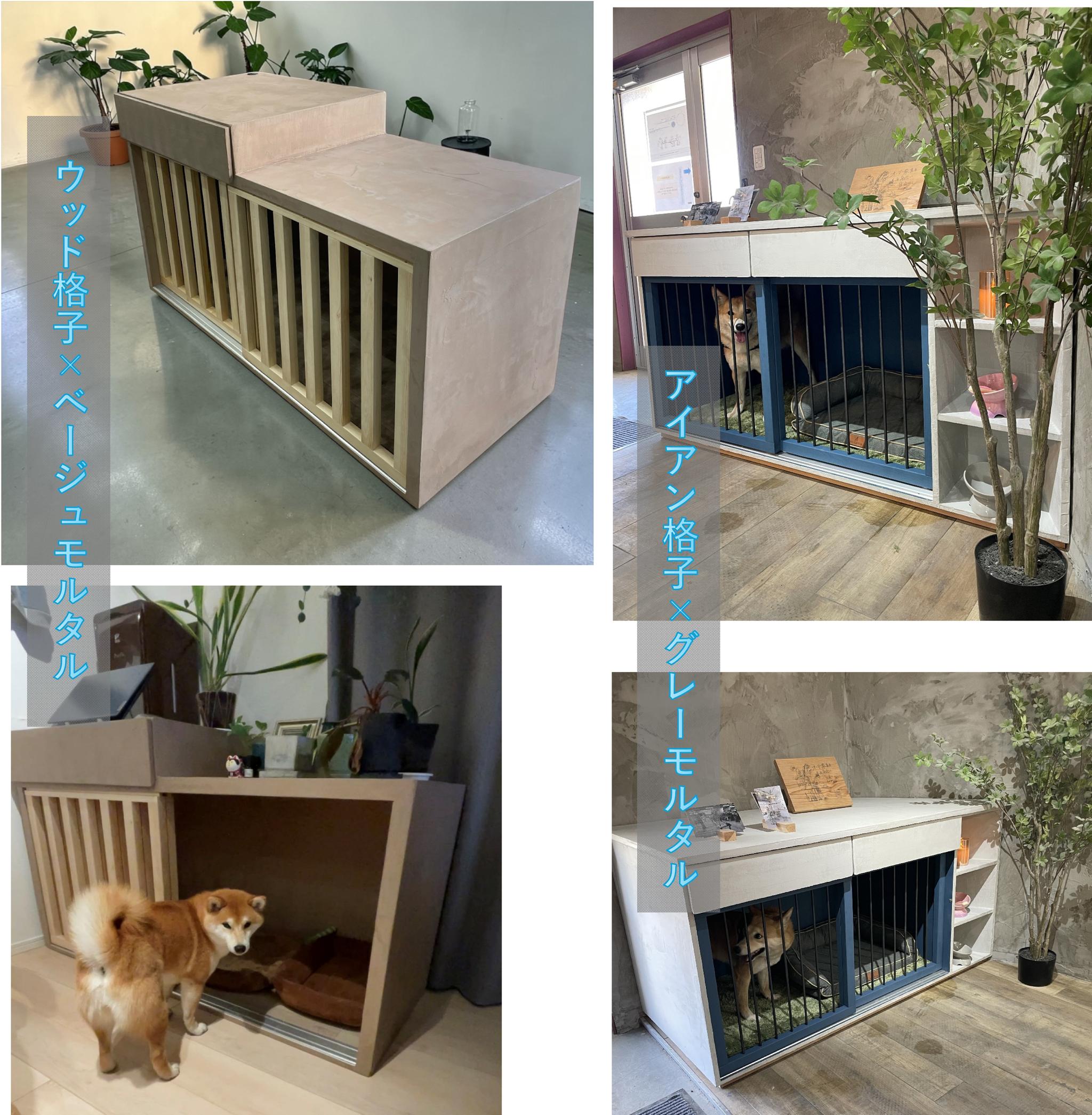 ドックハウス１ | 5枚目