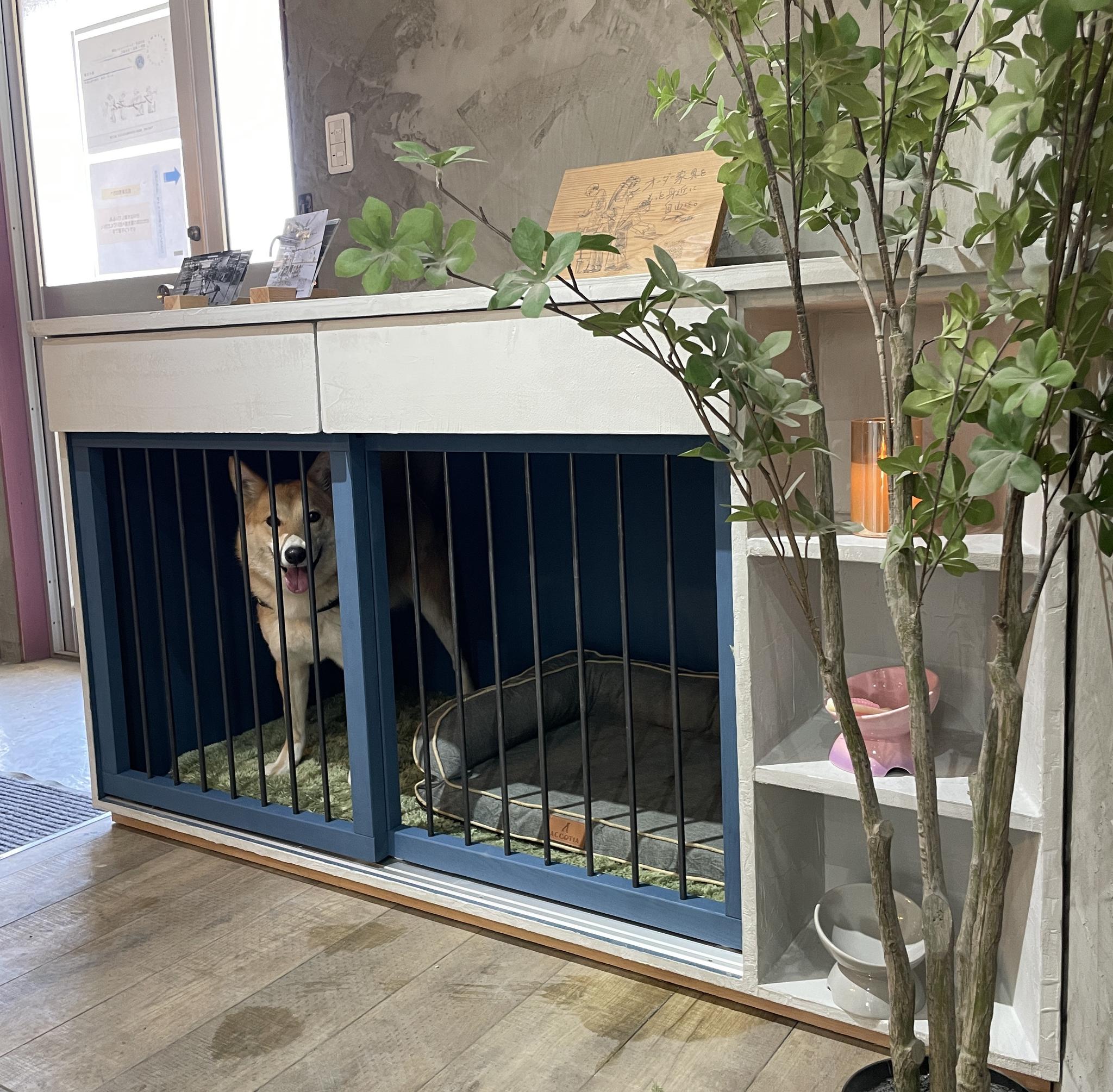 ドックハウス 2