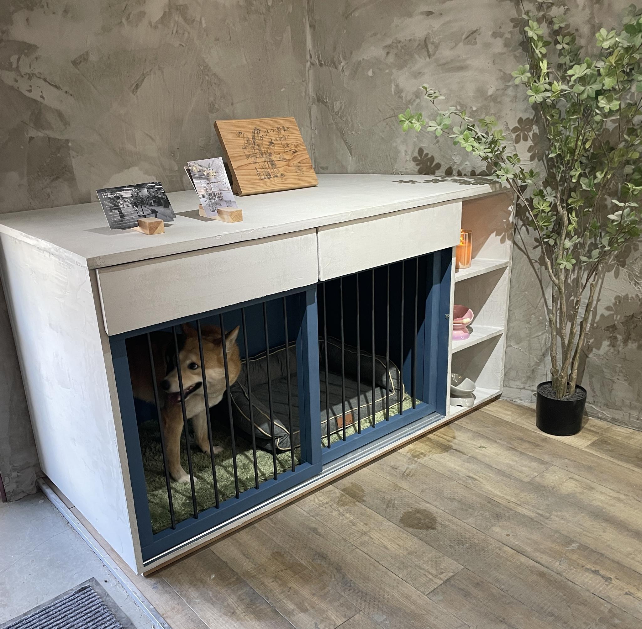 ドックハウス 2 | 2枚目